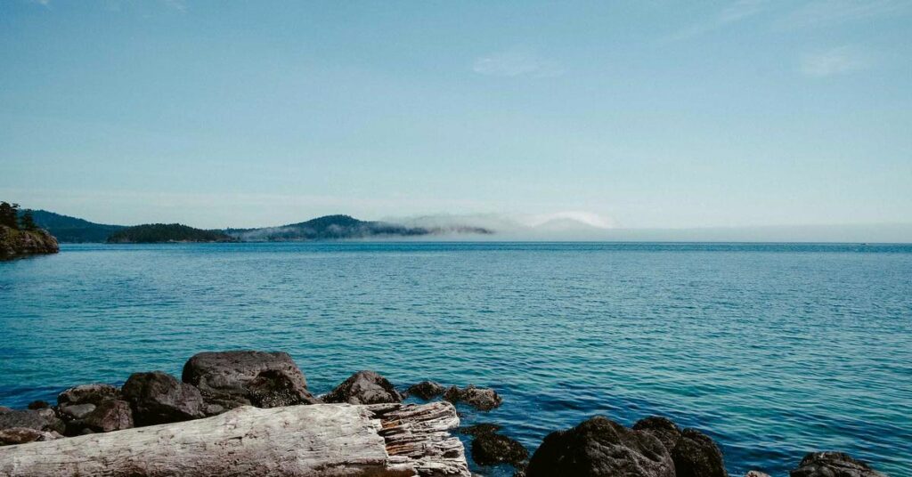 AI SEO competitor analysis dashboard