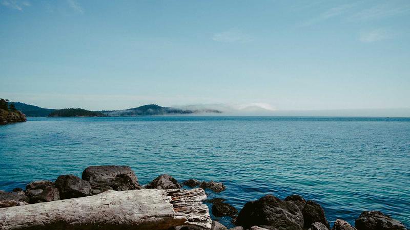 AI SEO competitor analysis dashboard