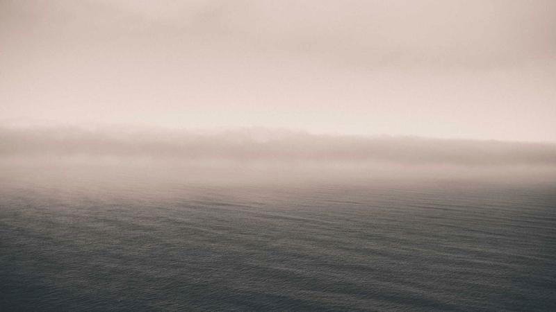 google algorithm update seo analysis