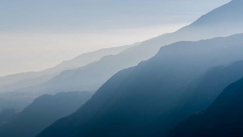 google algorithm update seo analysis